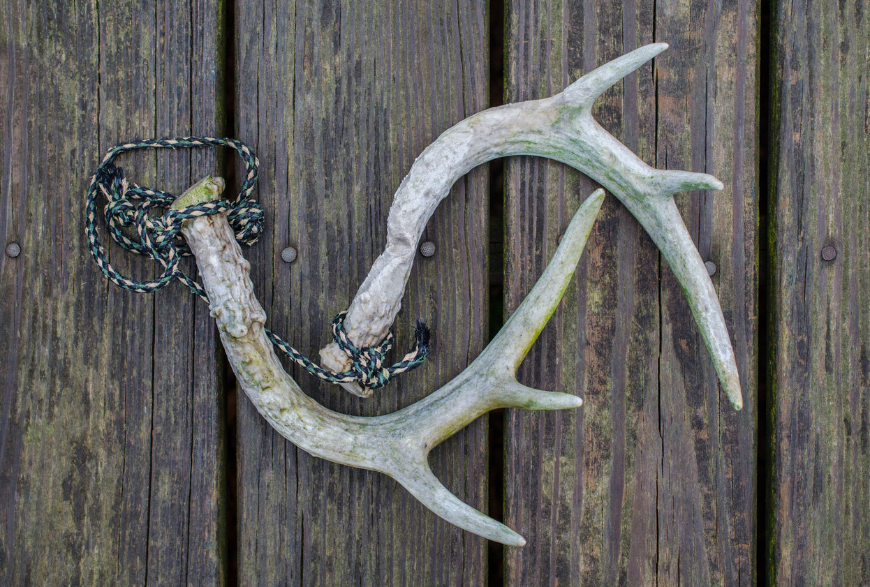 When to Rattle for Bucks
