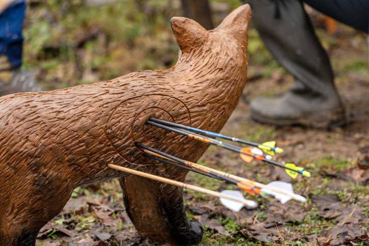 Best Archery Target: How to Pick Between Bag, Block, and 3D