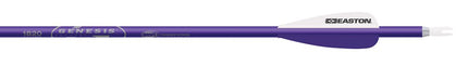 EASTON SHAFT GENESIS 1820 PURPLE BD (60)