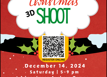 2024 A Very Merry Christmas 3D Shoot