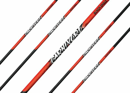 BLACK EAGLE CARNIVORE FLETCHED 6PK