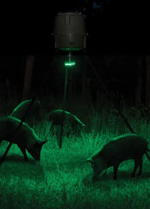 MOULTRIE FEEDER HOG LIGHT