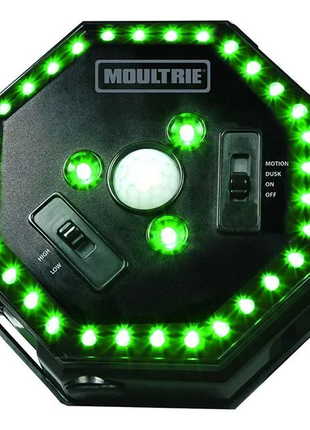 MOULTRIE FEEDER HOG LIGHT