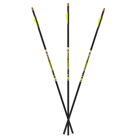 Carbon Express Arrow D-Stroyer 400 (EA)