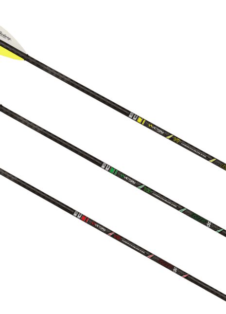 VICTORY Arrow, RIP SS (.204)