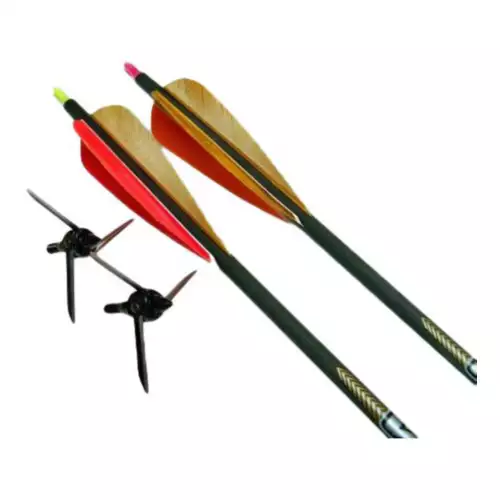 MAGNUS Bullhead kit/2-100 grain/2- .300 arrows