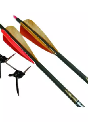 MAGNUS Bullhead kit/2-100 grain/2- .300 arrows