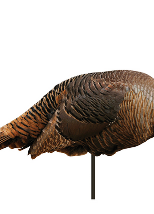 Montana Decoy Spring Fling Hen Decoy