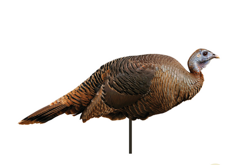 Montana Decoy Spring Fling Hen Decoy