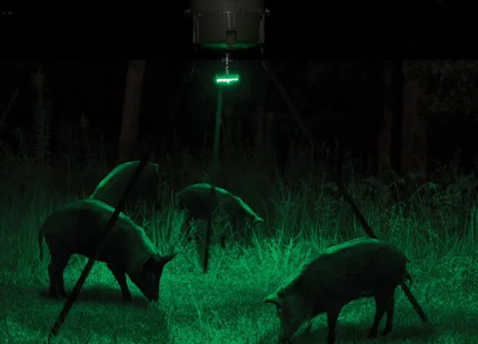 MOULTRIE Feeder Hog Light