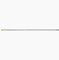 VICTORY Arrow, VAP SS 300 E SS (6pk) GPI: 9.9 (AAE 2.6 HVs)