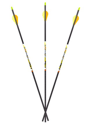 Carbon Express Shafts D-Stroyer SD 350 (12pk)