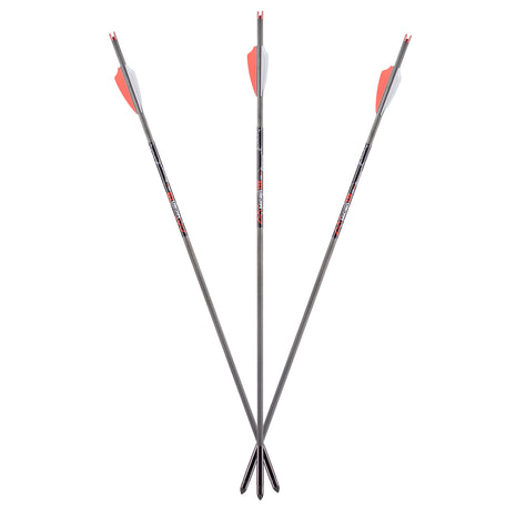AXE 6-Pack Bolts 20"