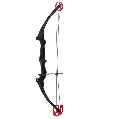 Genesis Bow