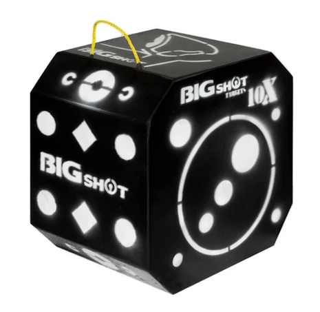 BIG SHOT TITAN 10X HEAVY DUTY TARGET