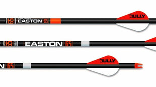 EASTON 6.5 HUNTER CLASSIC 2'' BULLY VANES 500 (72)