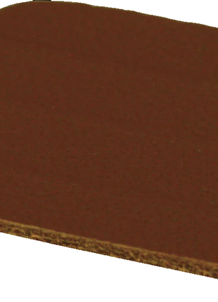 BEAR Strike Plate (LP) Low Profile