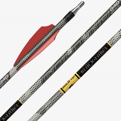 GT Arrow, Black Label 300 - 2" Raptor - (EA)