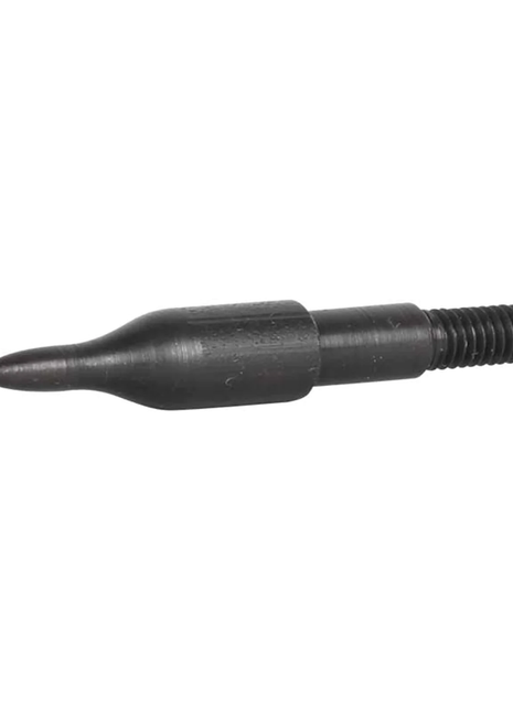 Easton Multi Field Points (DZ)