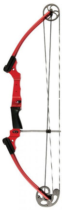 Genesis Bow