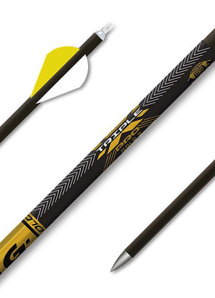 GOLD TIP ARROW TRIPLE X (.421) PLUS 100 (.005) (dz)