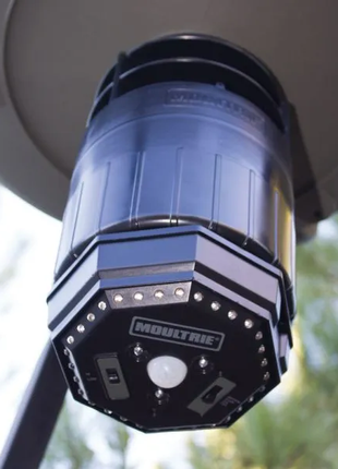 MOULTRIE FEEDER HOG LIGHT