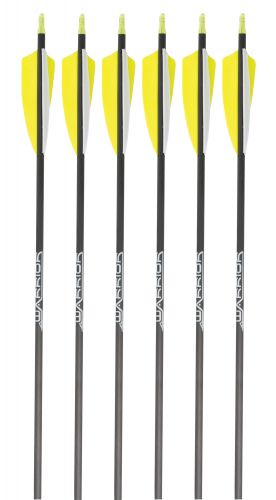 GOLD TIP SHAFT WARRIOR (.246)