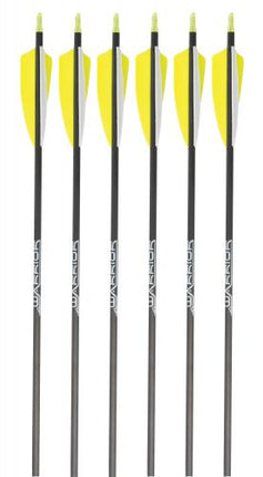 GOLD TIP SHAFT WARRIOR (.246)