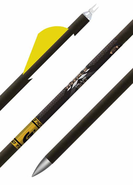 GOLD TIP ARROW TRIPLE X (.421) PLUS 100 (.005) (dz)