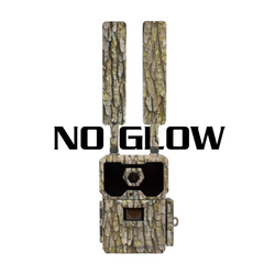 Collection image for: WISEEYE