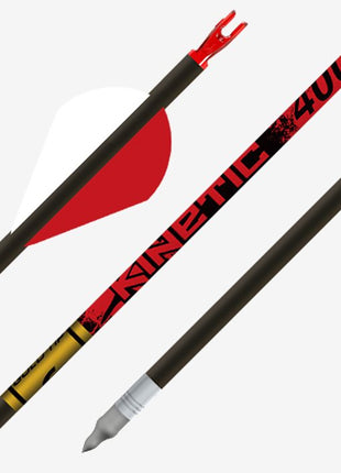 GOLD TIP ARROW KINETIC (.204) 400 2" Raptor Vanes (6)