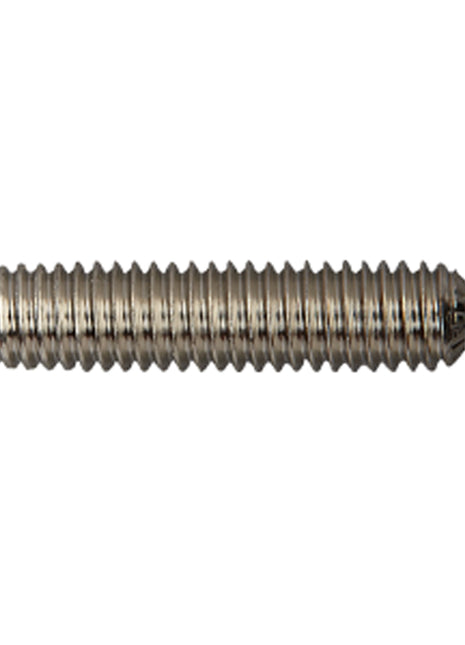 CX SCREW-IN POINT WEIGHT 20gr - 12PK