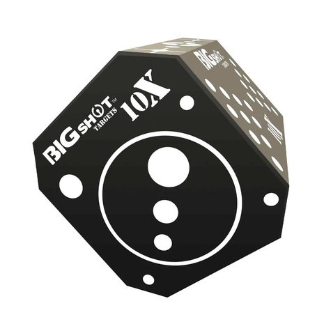 BIG SHOT TITAN 10X HEAVY DUTY TARGET