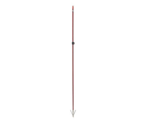 Cajun Wasp Arrow W/Piranha XT Red/Black