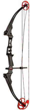 Mini Genesis Bow