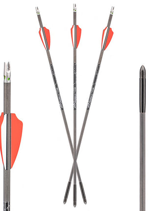 AXE Bolt Combo pack (3 bolts &amp; 3 lighted nocks) 19"