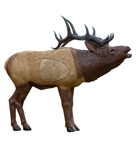 RINEHART 1/3 SCALE WOODLAND ELK