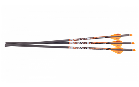 Ravin Match Weight Lighted Arrows 400Gr .003 3PK