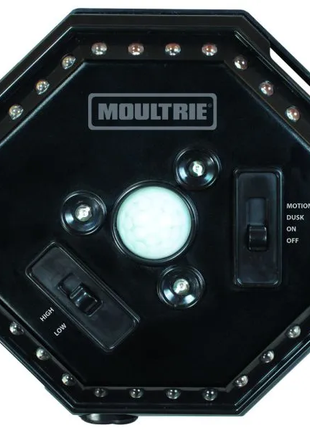 MOULTRIE FEEDER HOG LIGHT