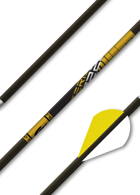 GT Arrow 22 Series Pro - NEW Shafts - 1dz .001