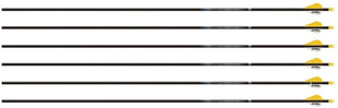 EASTON SONIC 6.0 2'' BULLY VANES 300 FACTORY HELICAL (72)