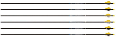 EASTON SONIC 6.0 2'' BULLY VANES 300 FACTORY HELICAL (72)