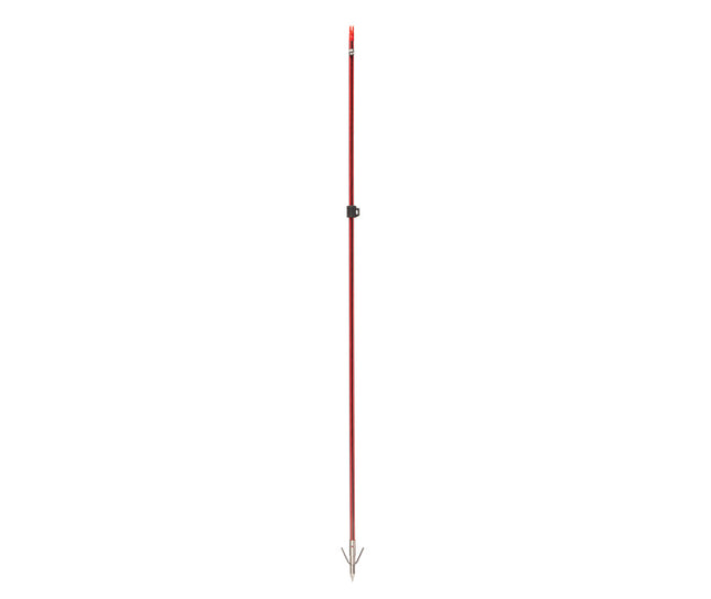 CAJUN BOWFISHING Wasp Arrow W/ Piranha Point XT  Red/Black