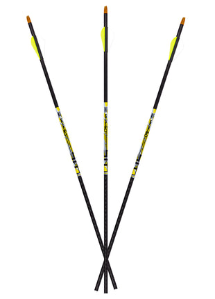 Carbon Express Arrows D-Stroyer 400 (6pk)